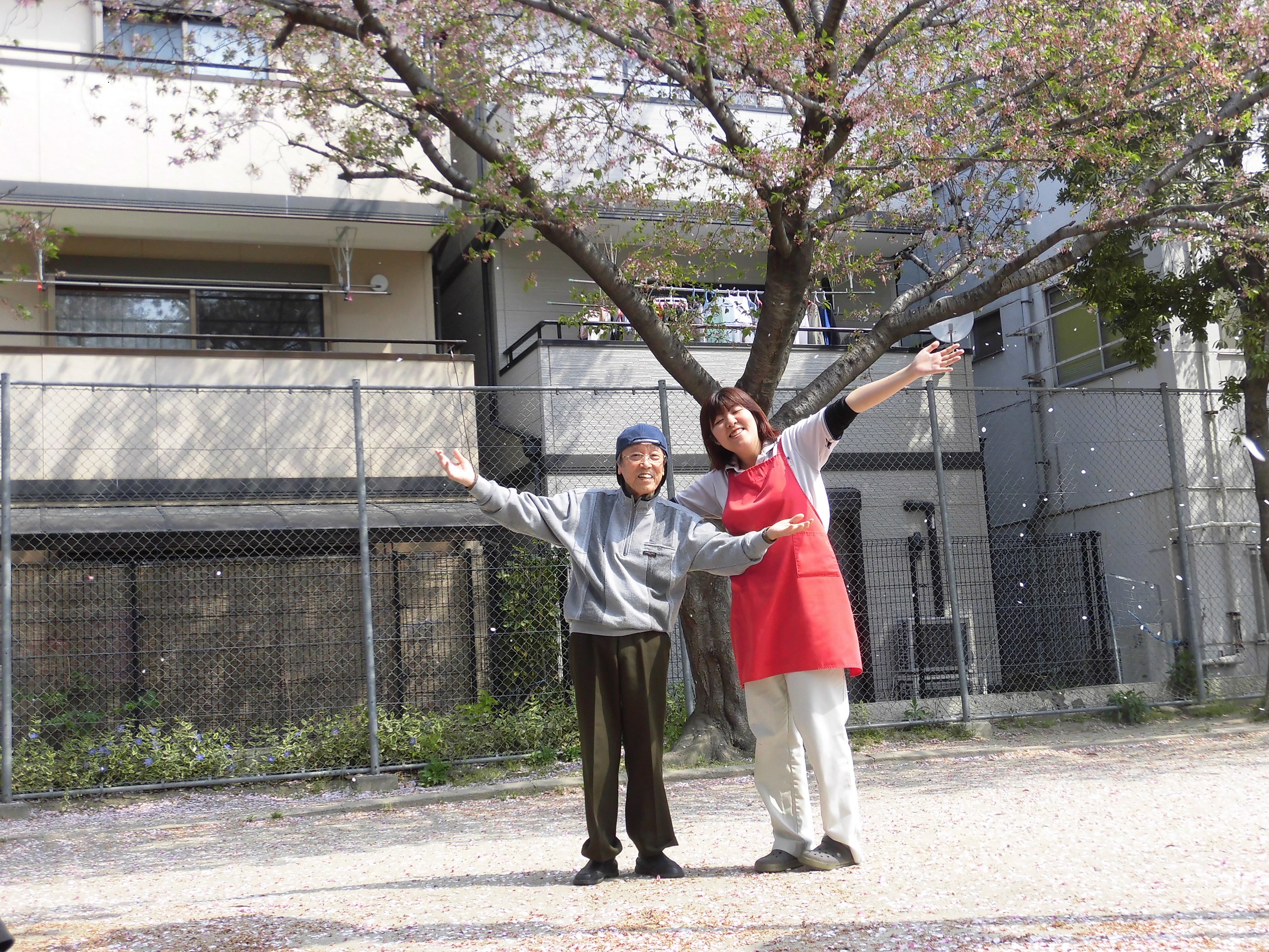 cimg6856-50.jpg