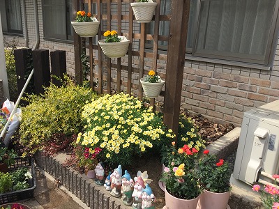 2019-03-29-143319.jpg