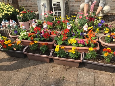 2019-03-29-143505.jpg