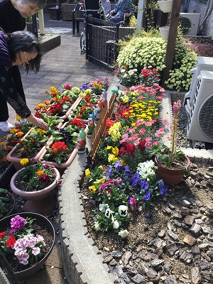 2019-04-15-145713.jpg