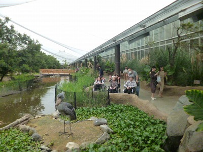 p1120020.jpg
