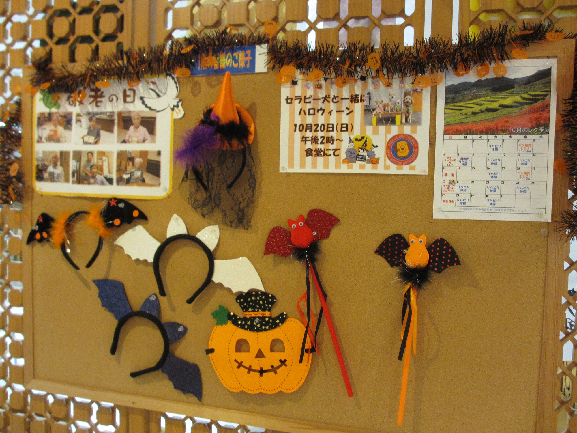 img_2444.JPG
